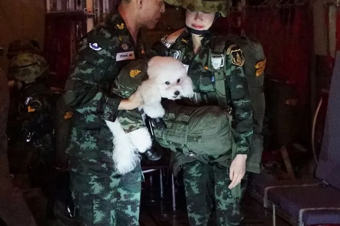 Andere Fotos zeigen sie in Kampf-Uniform ...