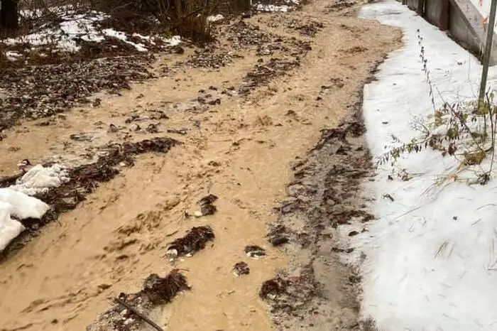 Zahlreiche Einsatzkräfte stehen im Einsatz. Auch eine Großpumpe des Landes wurde angefordert.