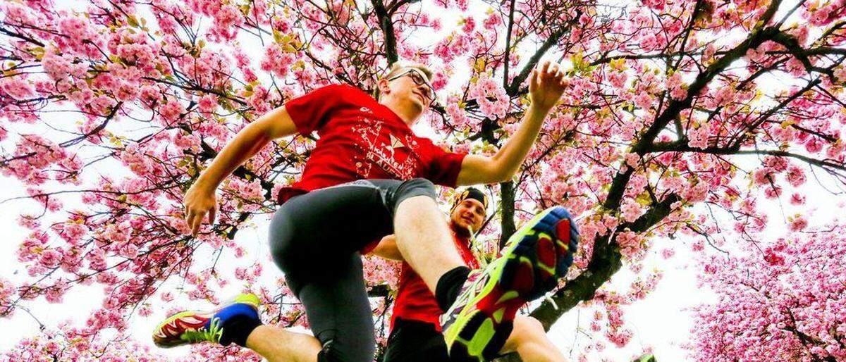 Der Kirschblütenlauf geht am 11. Mai über die Bühne, mit dem Wörthersee als Kulisse