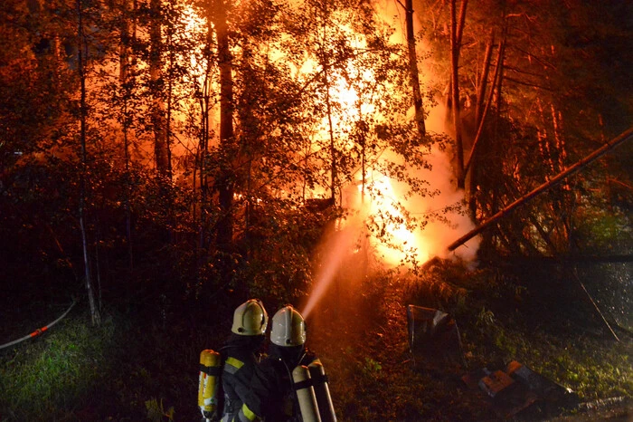 Das Fahrzeug blieb in den Bäumen hängen, fing Feuer und brannte völlig aus. Der Lenker konnte sich selbst aus der Fahrerkabine befreien.