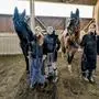 Die Pferdeweihe fand am Stefanitag statt
