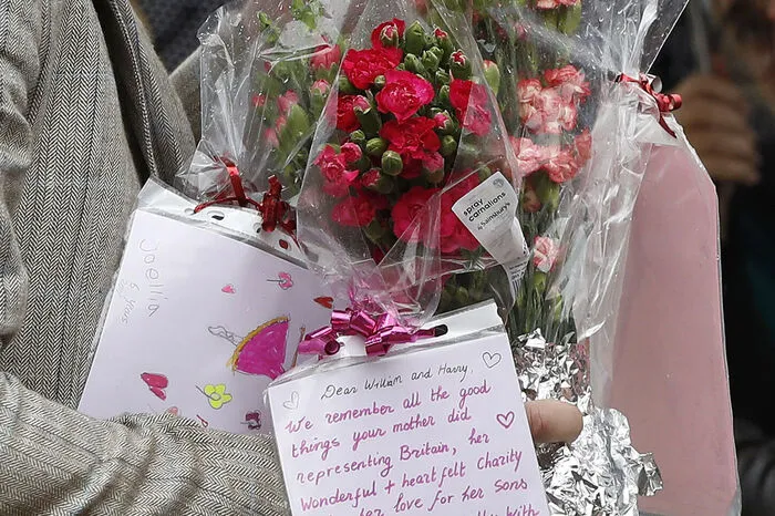 In den vergangenen Wochen hatten die Prinzen ungewohnt offen über ihre Gefühle nach dem Tod ihrer Mutter gesprochen. William war damals 15, Harry 12 Jahre alt.