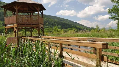 Die Flutung des Bleistätter Moores soll das Algenproblem langfristig in den Griff bekommen