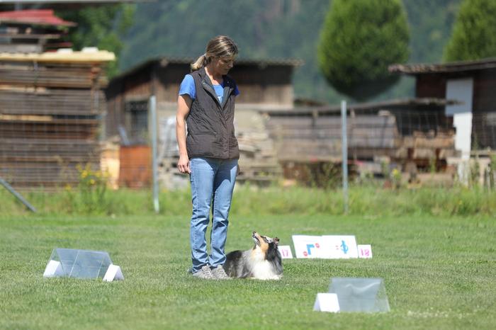 Teamarbeit ist zwischen Marina Waltritsch und Nanook im  Parcours gefragt