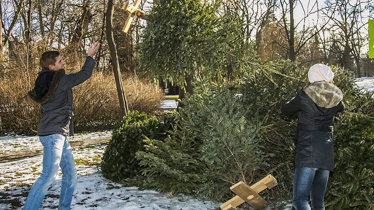 Nach dem Dreikönigstag haben die Christbäume vielerorts ausgedient