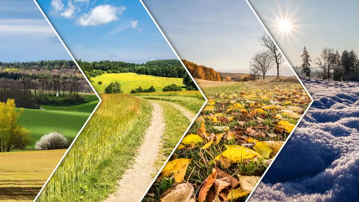 Four season collage from arrow banners - all used photos belong to me