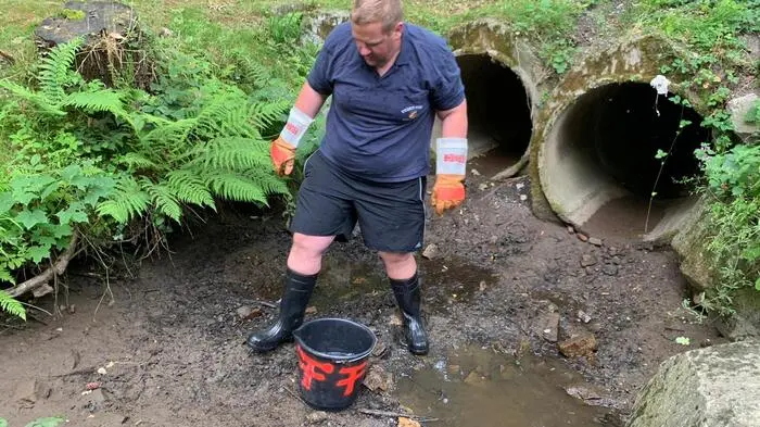 Ein Passant meldete am Samstag der FF Voitsberg, dass sich im Schlossbach im Schlosspark Greißenegg Fische wegen des geringen Wasserstandes in Lebensgefahr befinden würden.