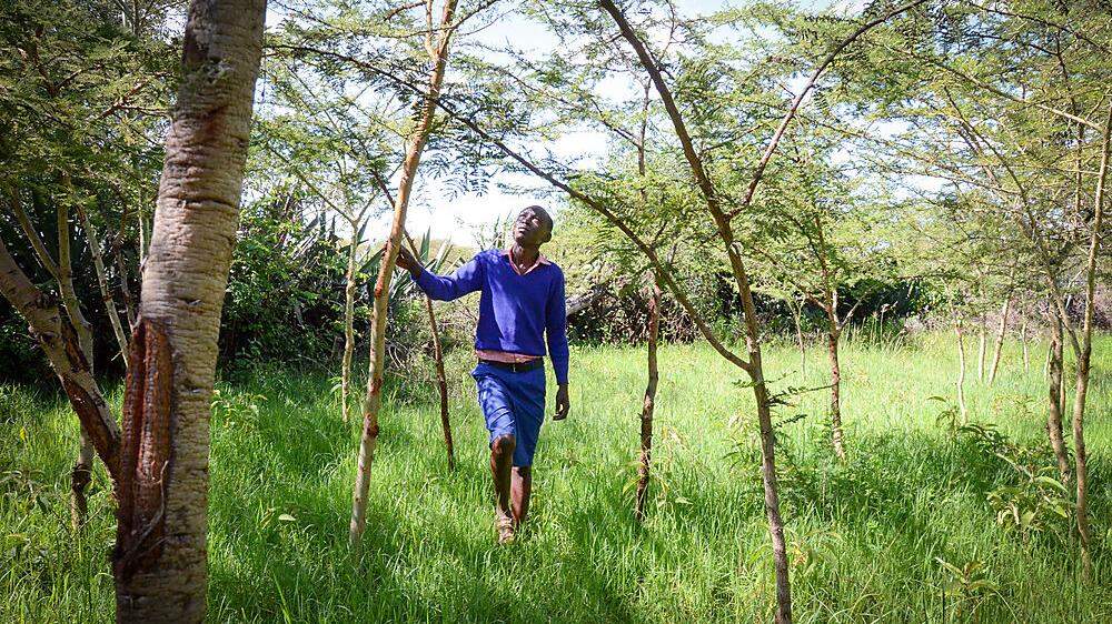 Nachwachsender Wald bedeutet für Bauern in Afrika Einkommen und Nahrung und bietet ihnen eine Zukunft in ihrer Heimat