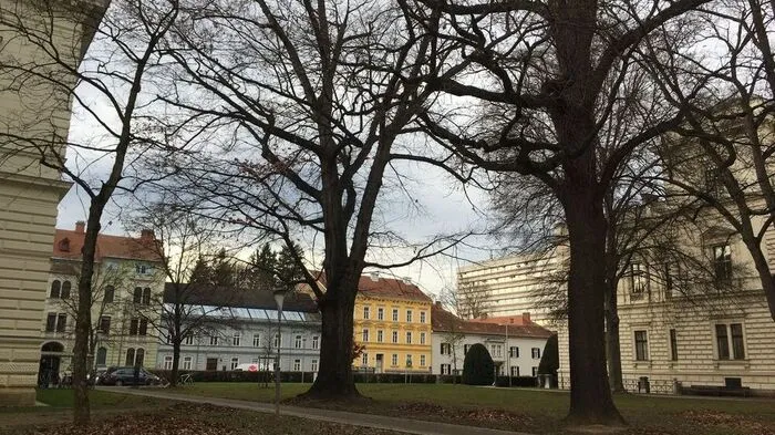 Das schöne Wetter bleibt uns die nächsten Tage hinweg weiterhin erhalten