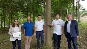 Roland und Matthias Gutmann (links und rechts des Baums) mit Raphaela Fink, Christian Krotscheck und Vulkanlandobmann Josef Ober in einer der Paulownia-Plantagen