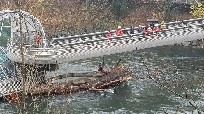 Am 22. November in der Früh starteten die Bergungsarbeiten bei der Grazer Murinsel.