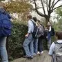 Die Ermittlungen der Polizei zum Vorfall in Hartberg sind noch im Laufen (Archivbild)