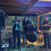 Das Blech & Saiten Jazz Trio spielte in einem Wald bei Straden auf