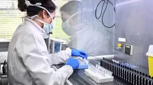 Staff at a virology lab works on tests of coronavirus on samples at San Matteo Hospital, in Pavia, northern Italy, Thursday, March 26, 2020. The San Matteo hospital is where Patient 1, a 38-year-old Unilever worker named Mattia, was kept since he tested positive for Covid-19 on Feb. 21 and opened Italy’s health care crisis. The new coronavirus causes mild or moderate symptoms for most people, but for some, especially older adults and people with existing health problems, it can cause more severe illness or death. (Claudio Furlan/LaPresse via AP)