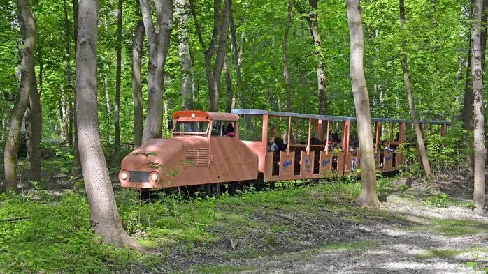 Liliputbahn zwischen Bäumen