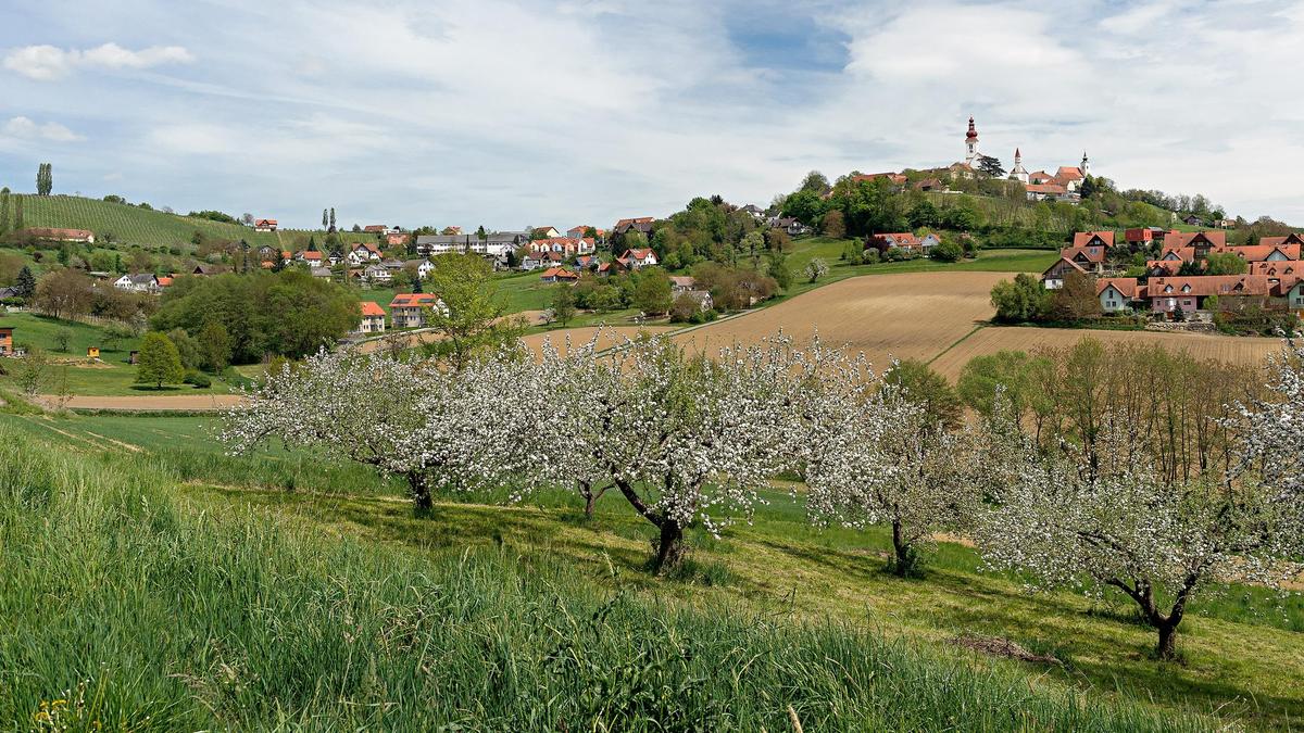 Strukturreiche Landschaften (hier ein Blick auf Straden) sind für die Artenvielfalt essenziell