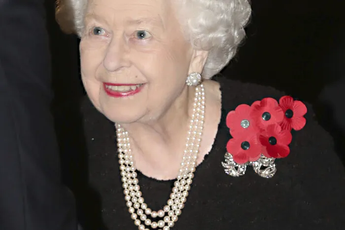 Auch wenn Queen Elisabeth II. gute Miene zum angeblich bösen Spiel macht, aber so ganz dürfte der Zwist der Brüder auch nicht an ihr vorbeigehen.