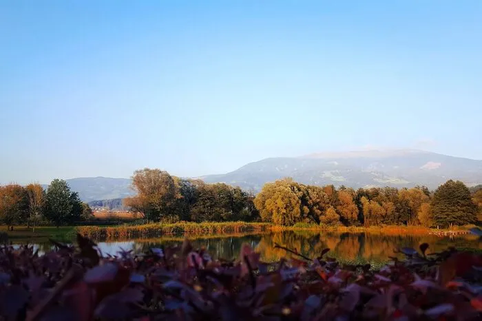 Mettersdorfersee in St Andrä bei Lavanttal