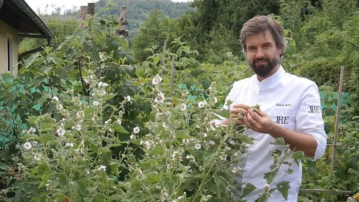 Thomas Gruber mitten in seinem üppig wuchernden Kräutergarten hinter dem Gasthaus in Töschling