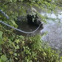 Der Tümpel wurde abgelassen, damit der Kopf des Pferdes über dem Wasser blieb