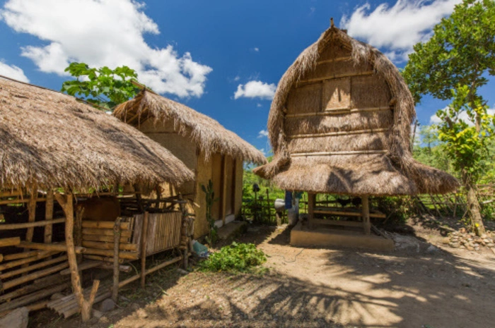 Sasak - so wird die größte Bevölkerungsgruppe auf Lombok genannt. Im Süden der Insel sind noch einige ursprüngliche Dörfer, wie das "Sasak Village Ende", erhalten. Bei einem Besuch darf man in die typischen Häuser blicken. Sie erinnern an auf dem Boden gebliebene Baumhäuser erinnern. Außerdem ist es eine gute Gelegenheit, um mit Einheimischen ins Gespräch zu kommen. Es ist eine Win-win-Situation: Die Bewohner finanzieren mit dem Geld der Touristen etwa die Schulbildung für ihre Kinder.