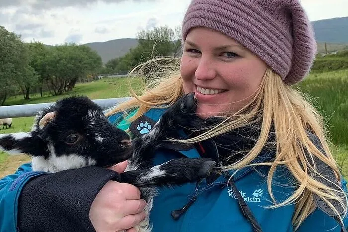 2: Ein Schaf streicheln. Und zwar bei Cathrin auf der Glen Keen Farm in Louisburgh. Sie ist Herrin von 600 Schafen und zieht auch verwaiste Lämmer auf.