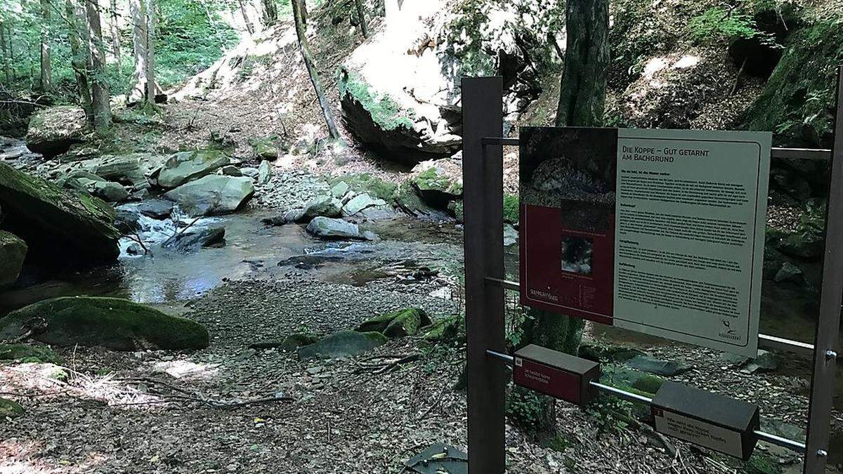 Seit Jahren streiten Gemeinde und Grundbesitzer um die Begehung des Sulmklammwegs