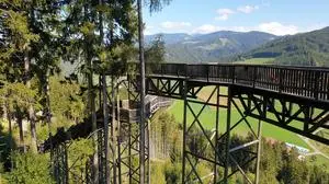 Aus mehreren Gründen wird der Wipfelwanderweg nicht mehr eröffnen