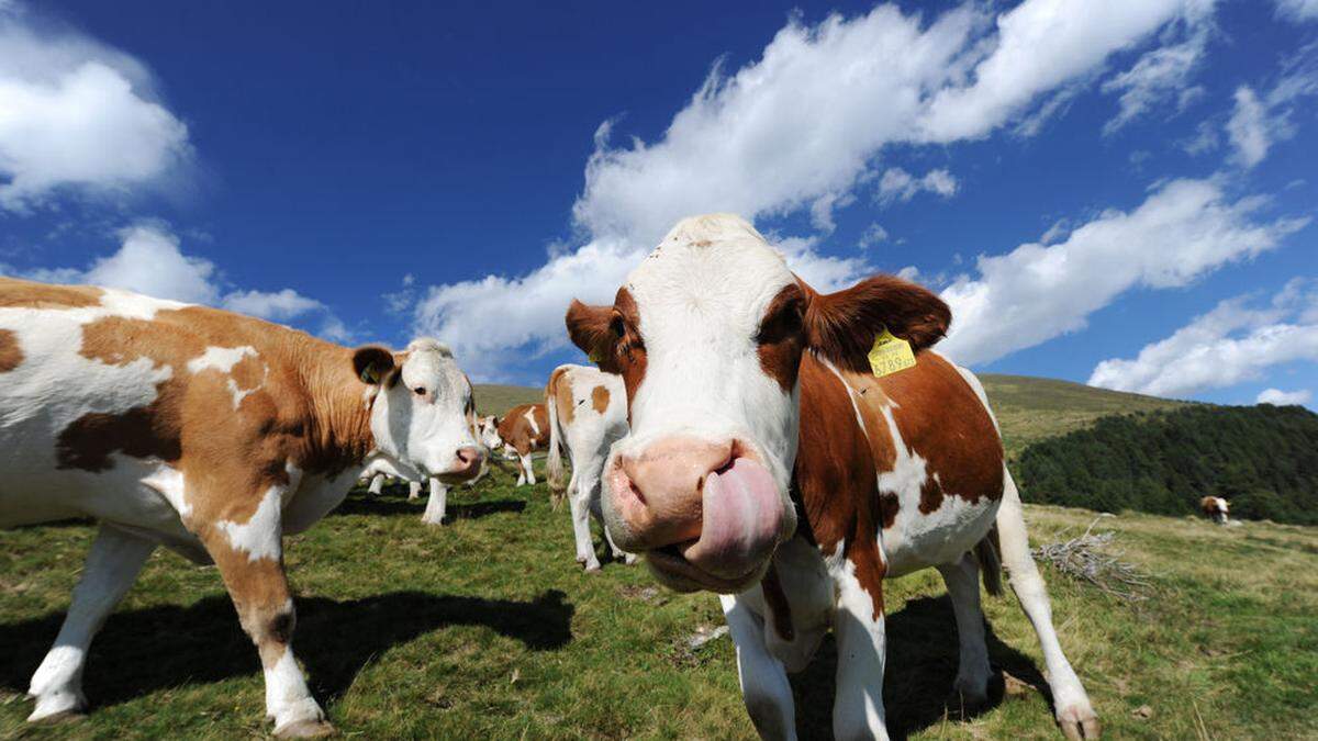 Tiroler Landwirt geht in Berufung