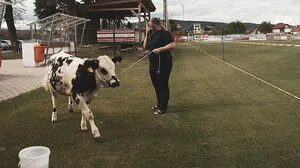Elke Groen rückt spannende Protagonisten auf zwei oder mehr Beinen in den Fokus 