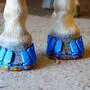 Die "Horserunners" galten als innovativer Hufeisen-Ersatz
