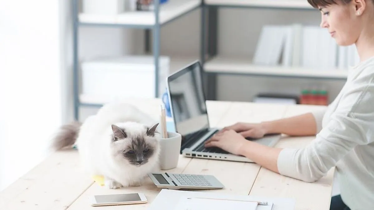 Viele Rechtsdienstleistungen können Sie nun dank §90a Notariatsordnung bequem übers Internet von zu Hause aus in Anspruch nehmen. 