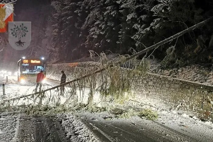 Auf der B72 stürzte ein Baum über die Straße.