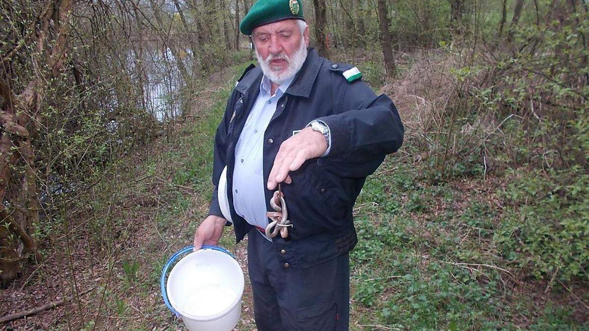 Franz Groß, schlangenkundliches Organ der Berg- und Naturwacht, übersiedelte die Tiere