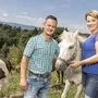 Bis zum Schluss kämpft der Villacher Erich um Evelins Herz