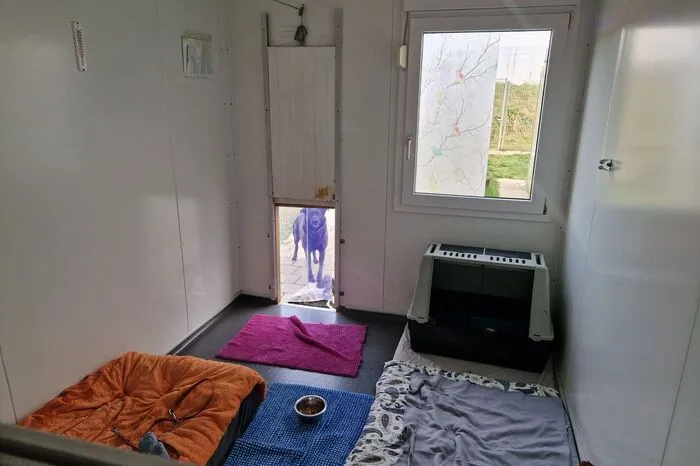 Klicken Sie sich durchs "Franziskus"