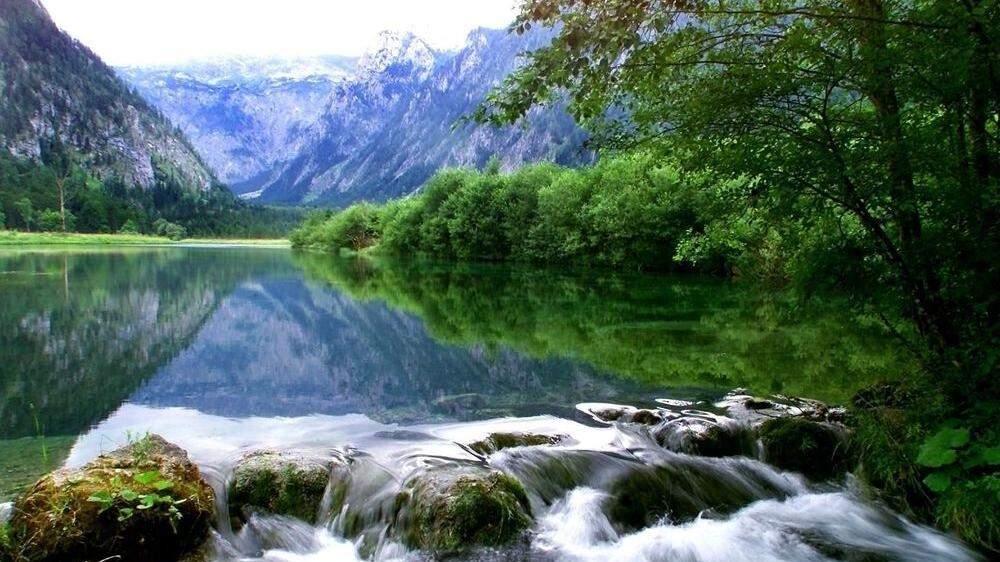 Unsere Alpen sind ein Biodiversitäts-Hotspot - und haben große Trinkwasser-Reserven