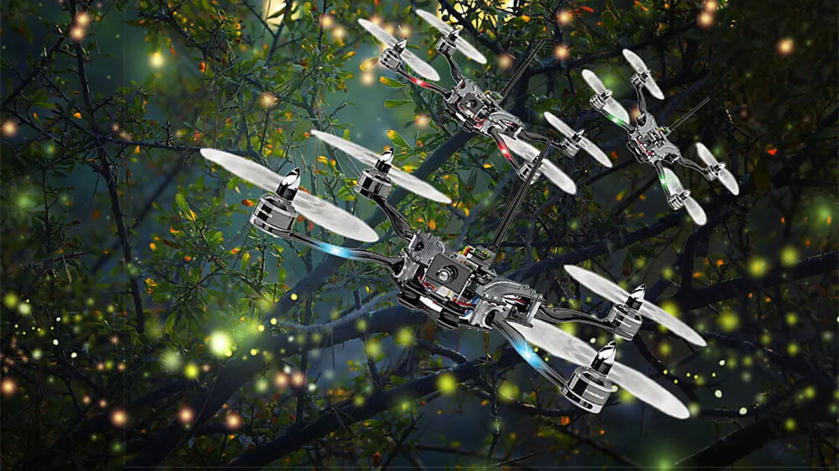 Die Muster, wie Glühwürmchenschwärme blinken, können auf Flugdrohnen umgelegt werden