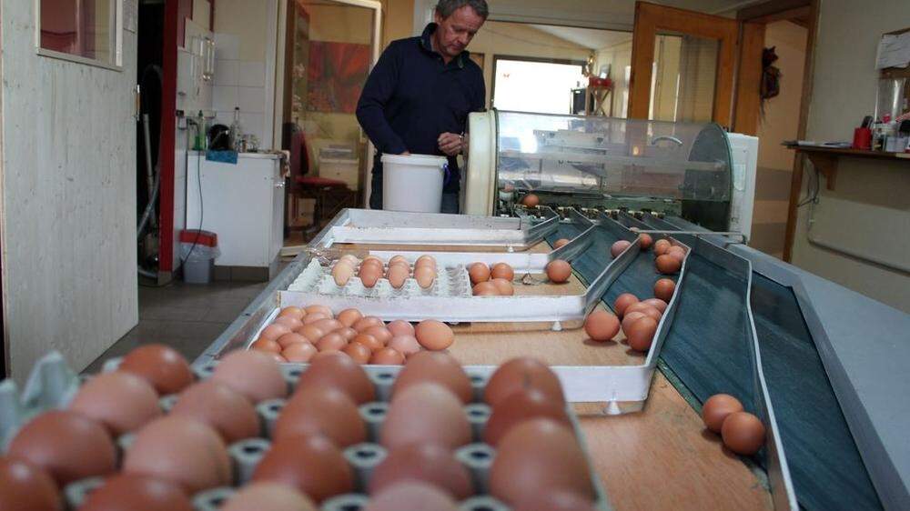 Martin Gfrerer reinigt zuerst alle Eier, die dann mithilfe der Maschine nach Gewicht sortiert werden