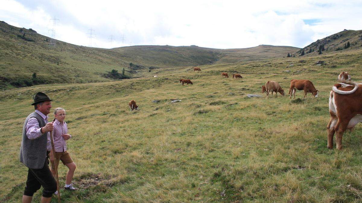 Auf der Glitzalm könnte ein riesiges Kraftwerk errichtet werden