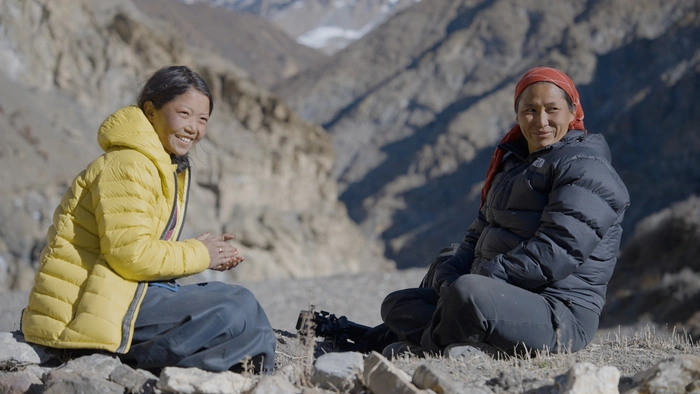 Die Schneeleoparden-Schwestern