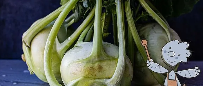 Gefüllte Kohlrabi (Symbolbild)