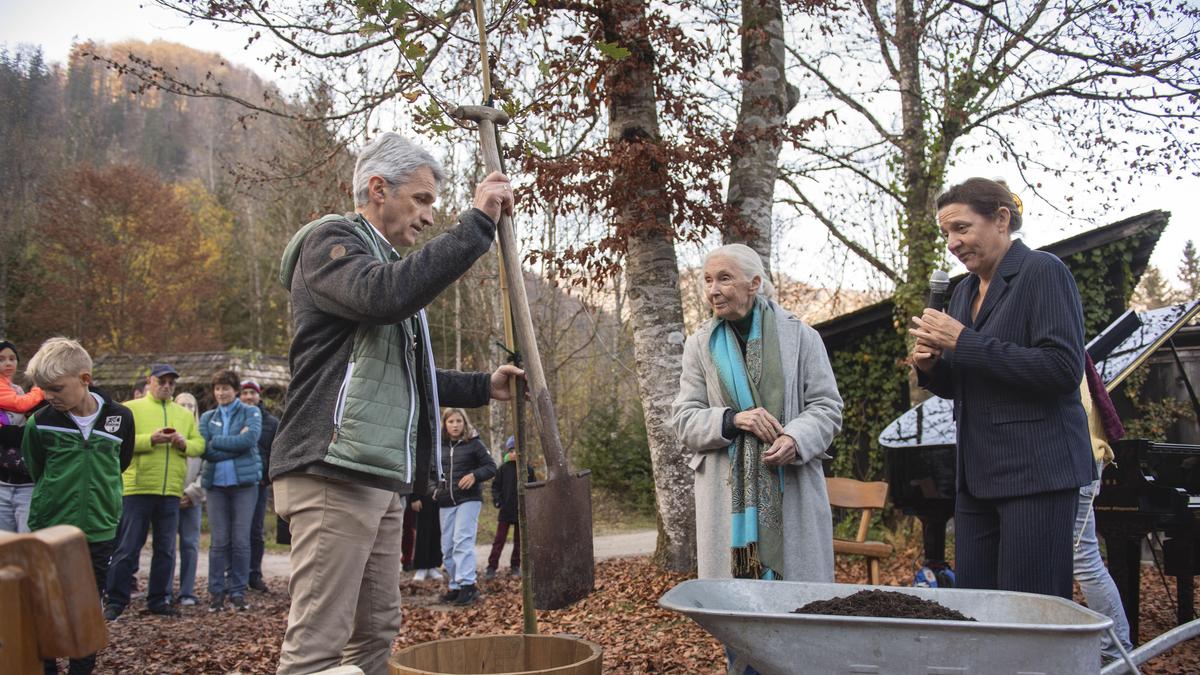 Jane Goodall in Grünau im Almtag