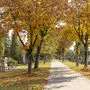 Vorgänge am Friedhof Annabichl in Klagenfurt führten zu zwei Anzeigen
