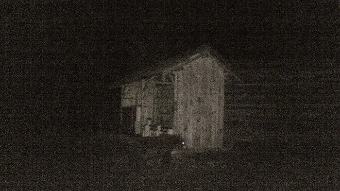 Der Bär wurde fotografiert