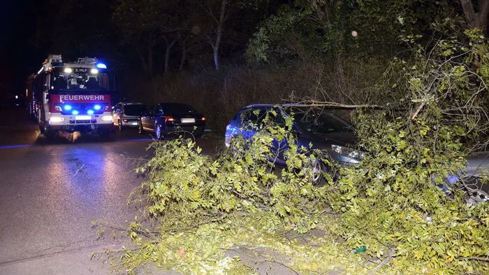 Das Sturmtief 'Siglinde' hat in der Nacht auf Mittwoch im Osten Österreichs für zahlreichen Feuerwehreinsätze gesorgt. Im Bild Einsatzkräfte in Wiener Neudorf.