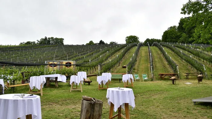 Beim Buschenschank Pöltl, am Rande des Weingartens, hatte Erich pöltl zum 1. Römischen Hoffest geladen