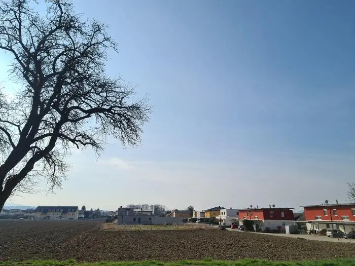 Vor Jahren wurden diese roten Doppelhäuser und weitere Einfamilienhäuser auf den Grillitsch-Gründen gegenüber vom Kindergarten Gries errichtet. Nun wird die Ackerfläche links im Bild verkauft