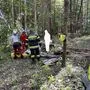 Ein schwerer Forstunfall ereignete sich gestern in Blumegg-Teipl