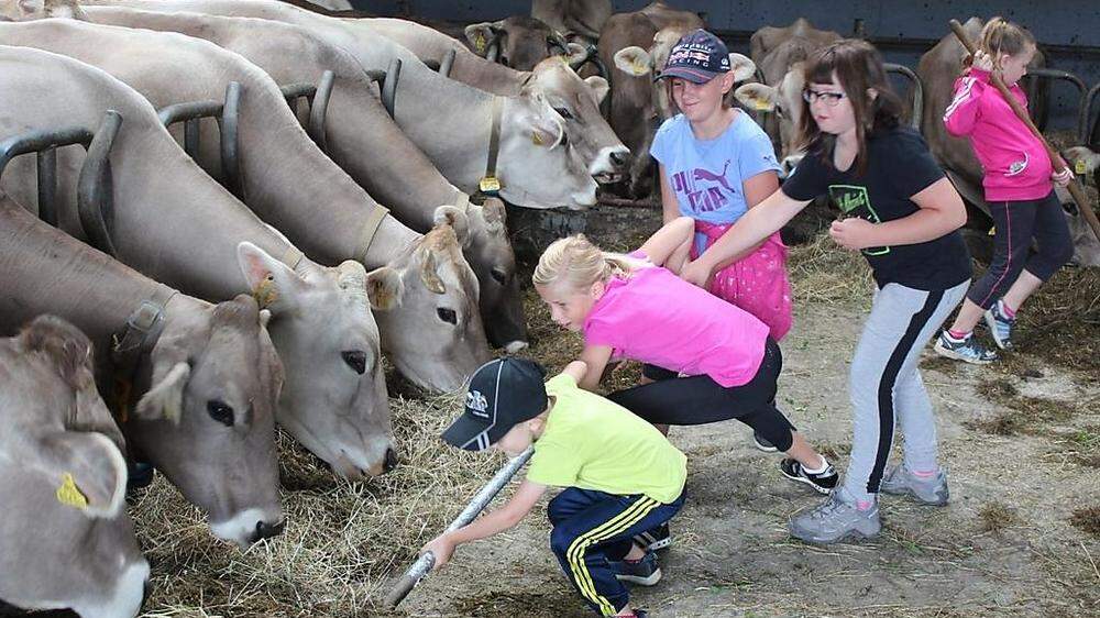 Die Kinder halfen bei den Arbeiten am Bauernhof fleißig und mit Begeisterung mit